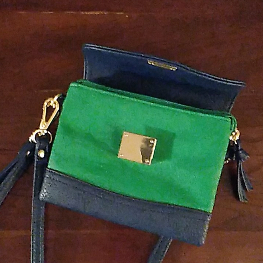 Charming Charlie's mini satchel